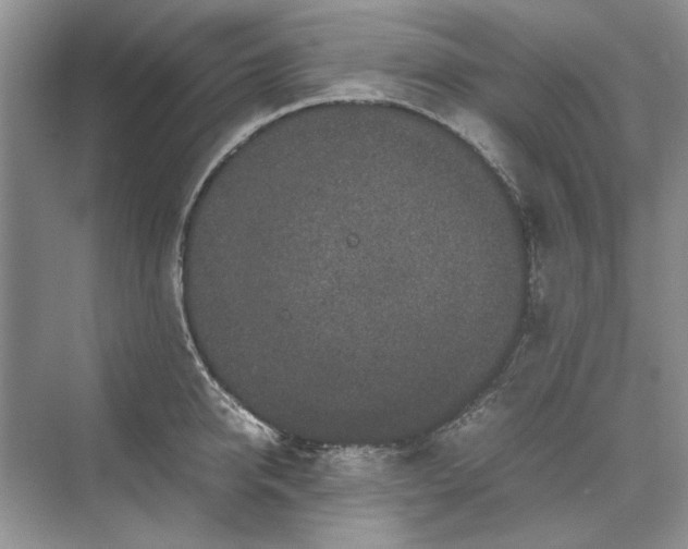 X0000070210950200606091621