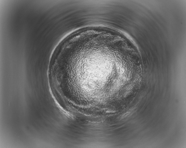 X0000070210951200606091621