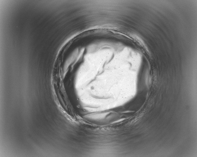 X0000070210952200606091621