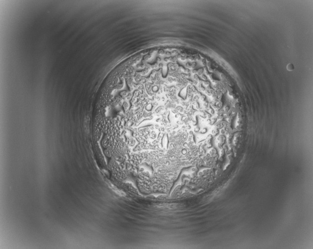 X0000070210953200606091621