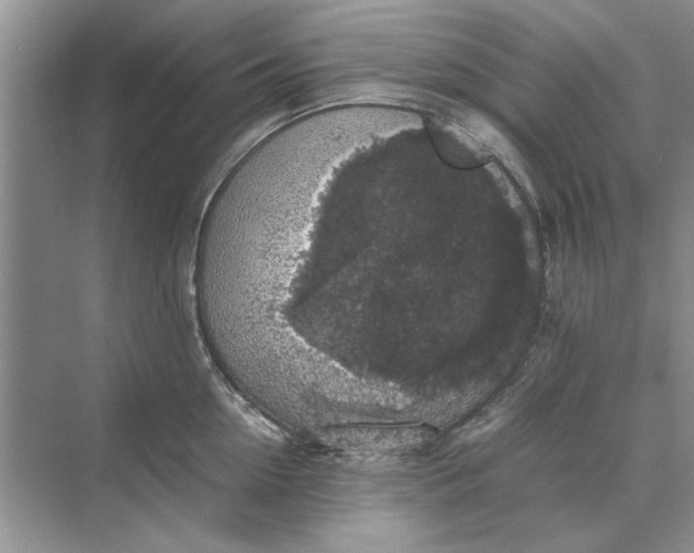 X0000070210954200606091621