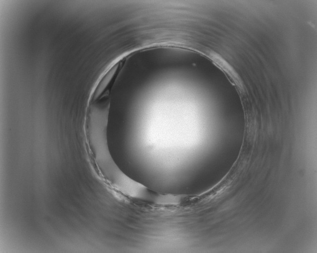 X0000070210956200606091621