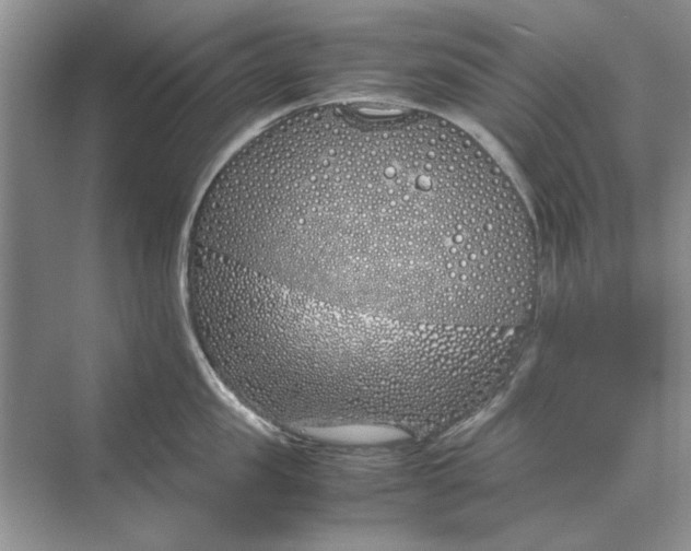 X0000070210957200606091621