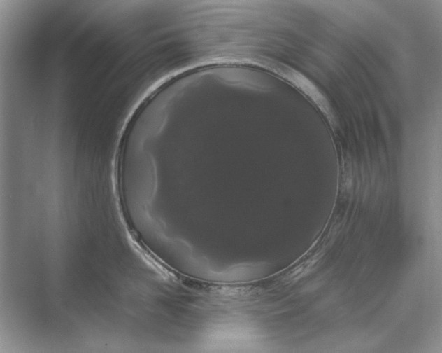 X0000070210958200606091621