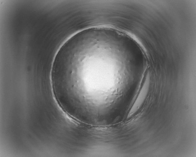 X0000070210959200606091621