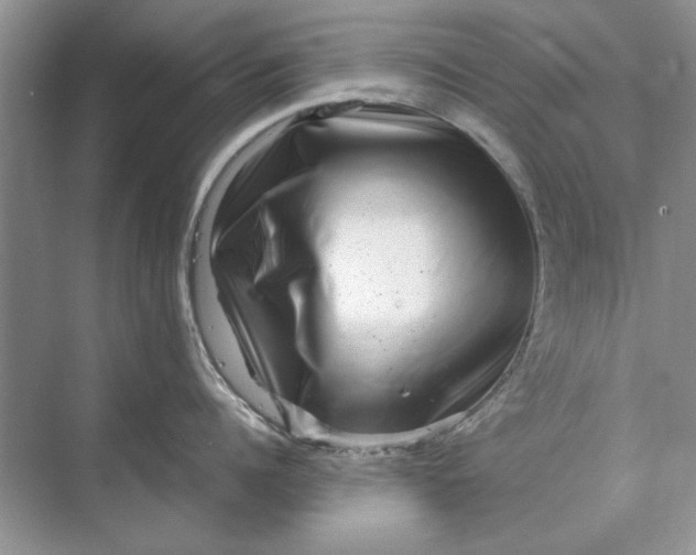 X0000070210960200606091621