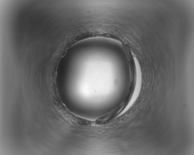 X0000070210961200606091620