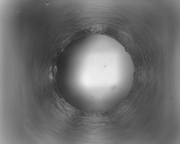 X0000070210962200606091620