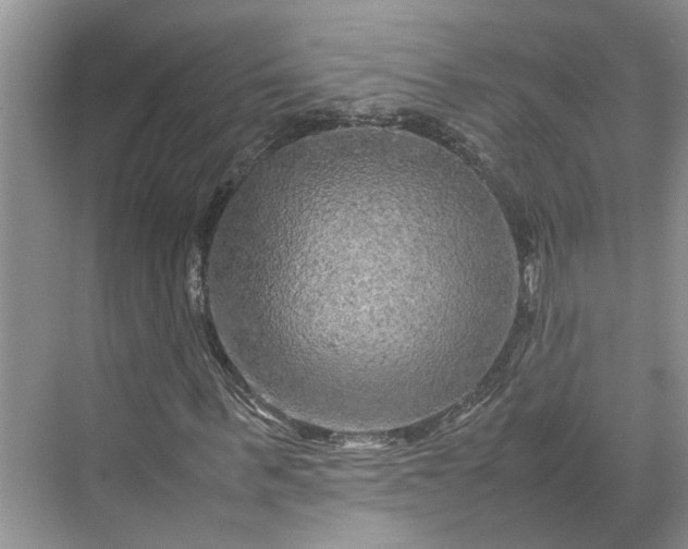 X0000070210963200606091620