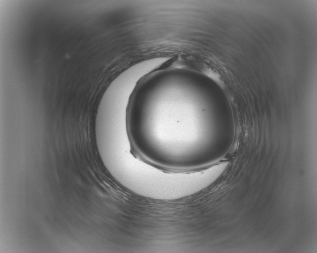 X0000070210964200606091620