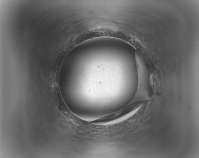 X0000070210965200606091620