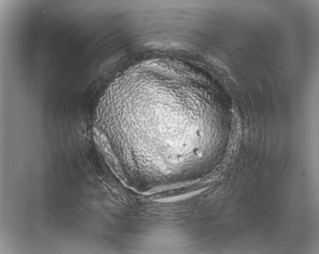 X0000070210966200606091620