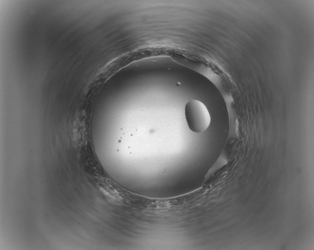 X0000070210968200606091620