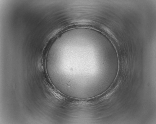 X0000070210970200606091620