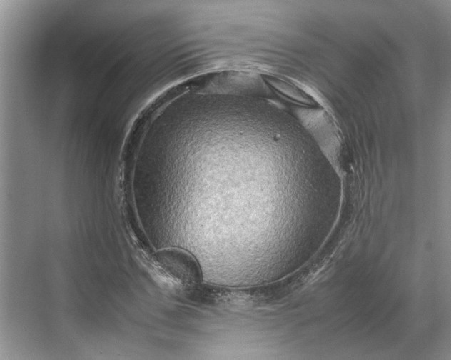 X0000070210971200606091620