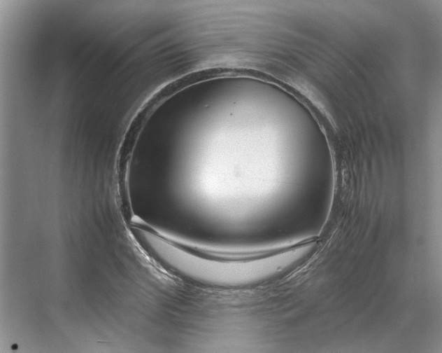 X0000070210972200606091620