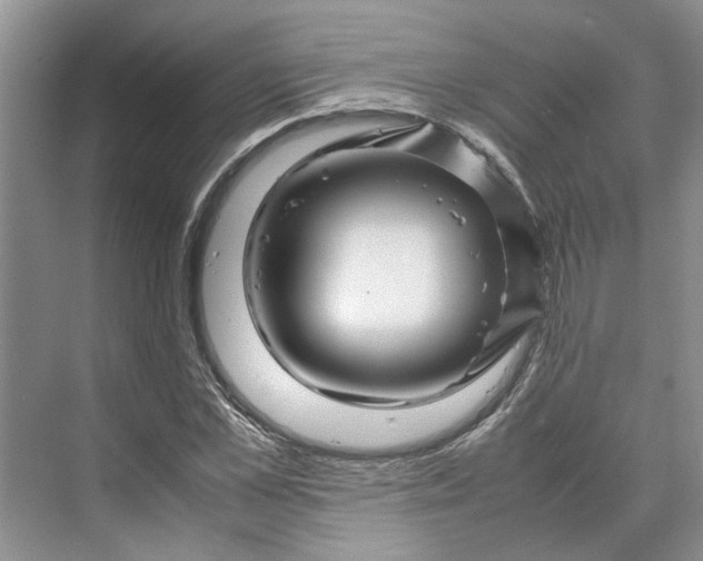 X0000070210973200606091620