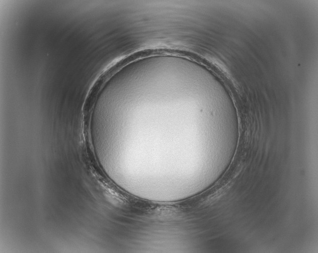 X0000070210974200606091620