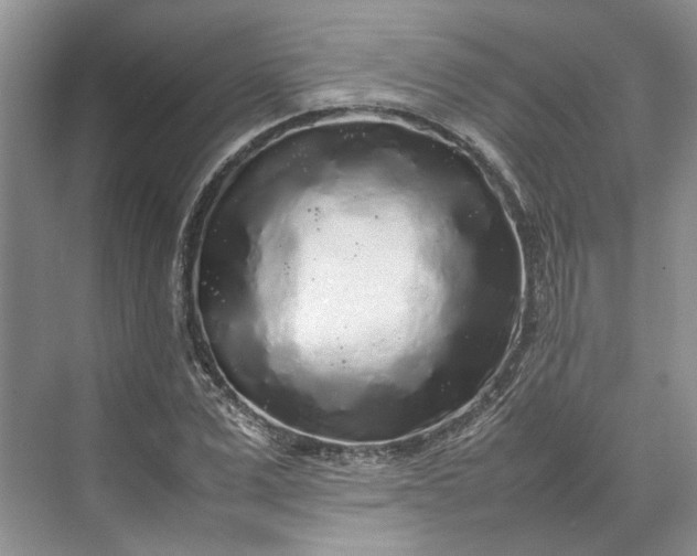 X0000070210975200606091620