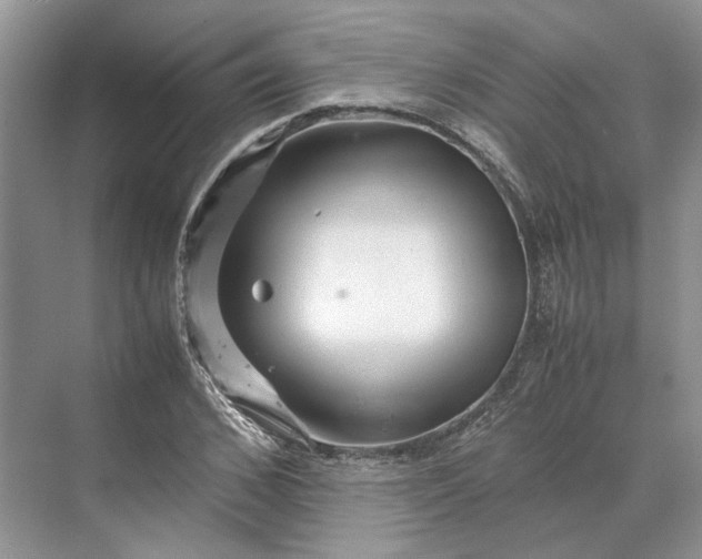 X0000070210976200606091620