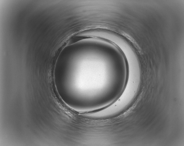 X0000070210977200606091620