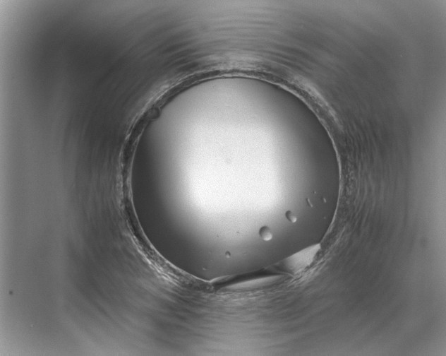 X0000070210978200606091620