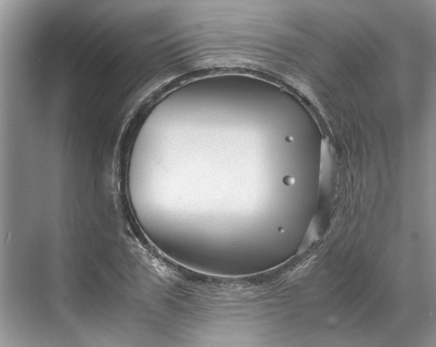 X0000070210979200606091620