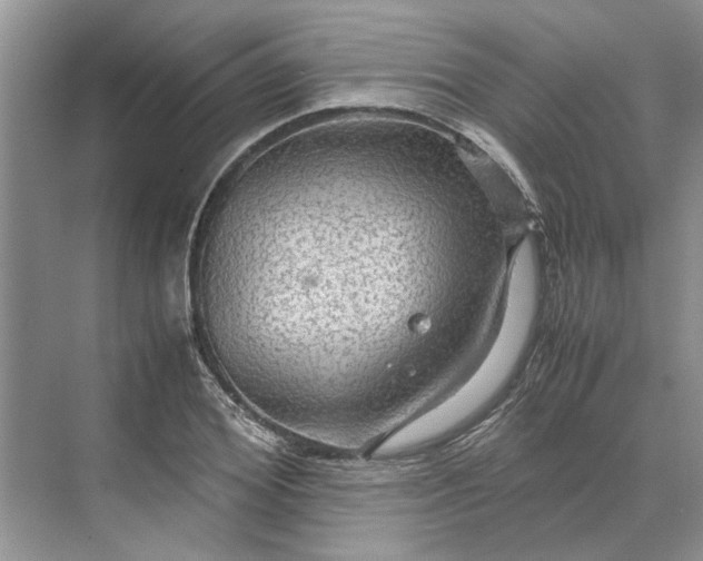 X0000070210980200606091620