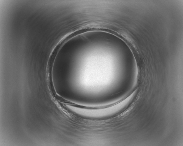 X0000070210981200606091620