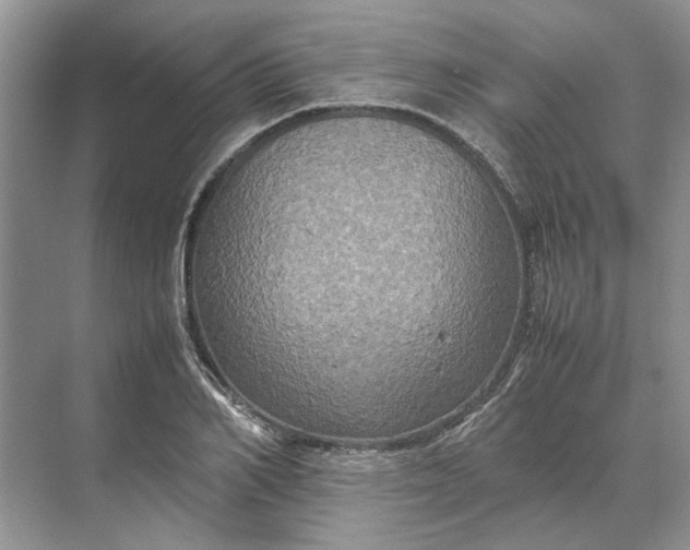 X0000070210982200606091620