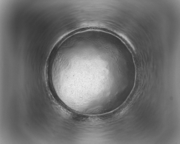 X0000070210983200606091620