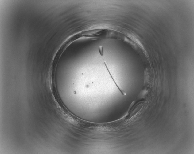 X0000070210984200606091620