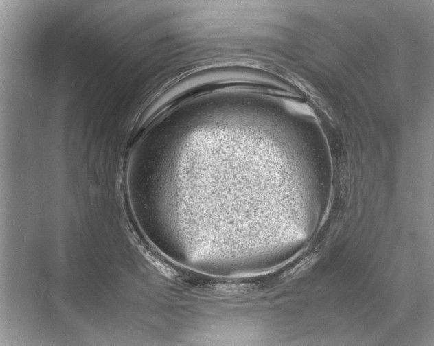 X0000070210985200606091620