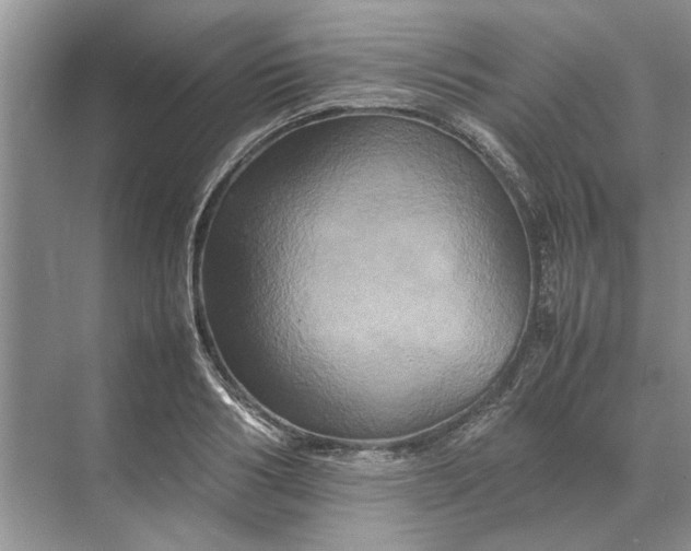 X0000070210986200606091620