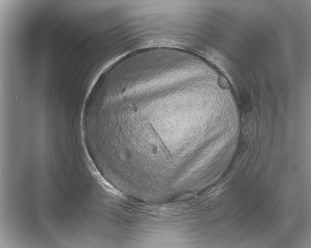 X0000070210987200606091620