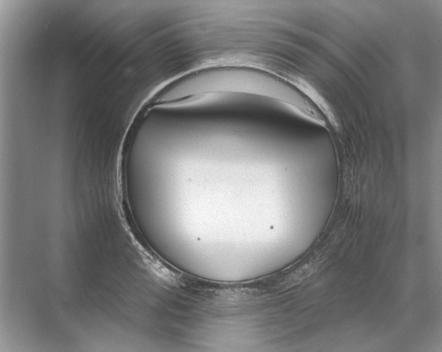 X0000070210988200606091620