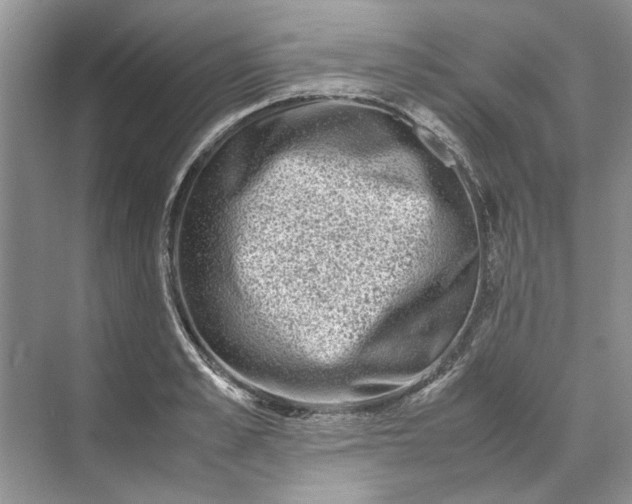 X0000070210989200606091620