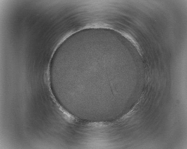 X0000070210990200606091620