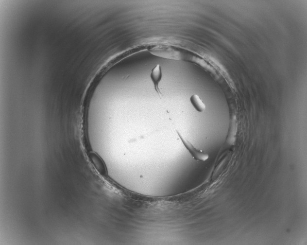 X0000070210992200606091620