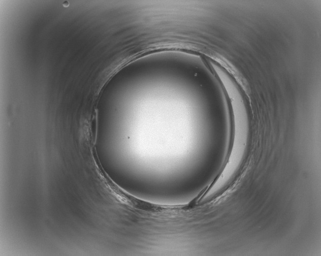 X0000070210993200606091620