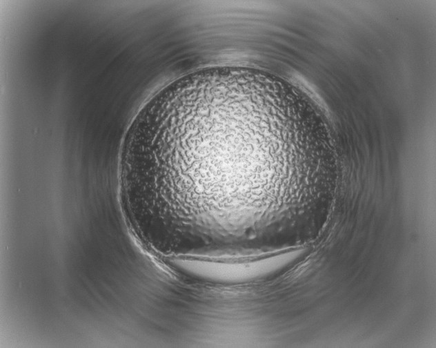 X0000070210994200606091620