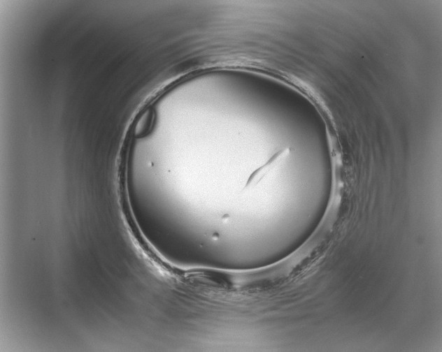 X0000070210995200606091620