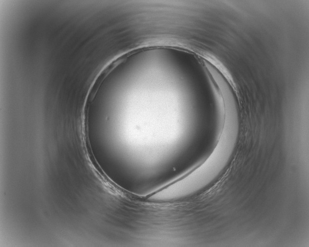 X0000070210996200606091620