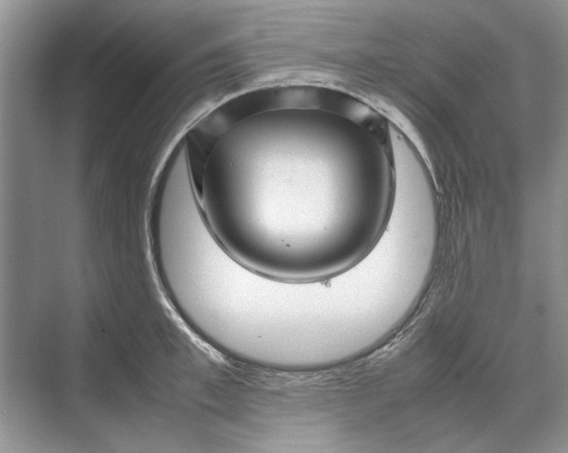 X0000070210997200606091619