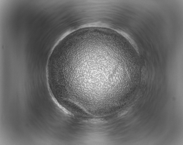 X0000070210998200606091619