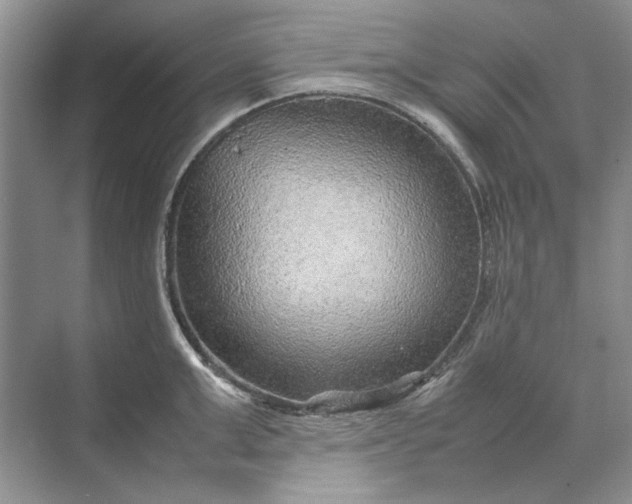 X0000070210999200606091619