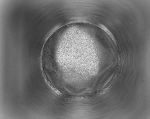 X0000070211002200606091619