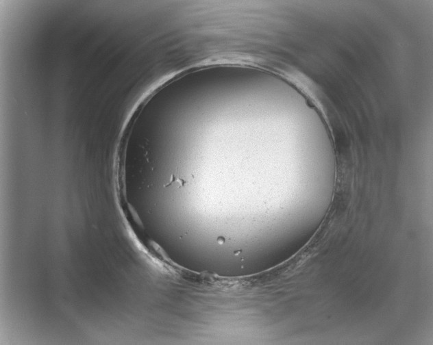 X0000070211003200606091619