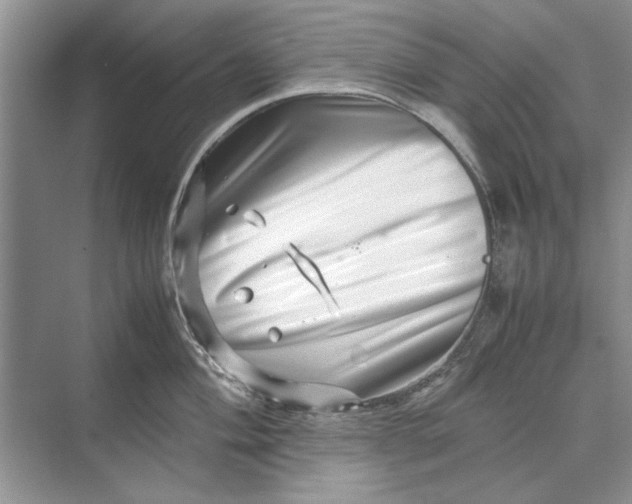 X0000070211004200606091619