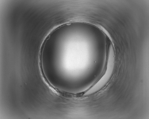 X0000070211005200606091619